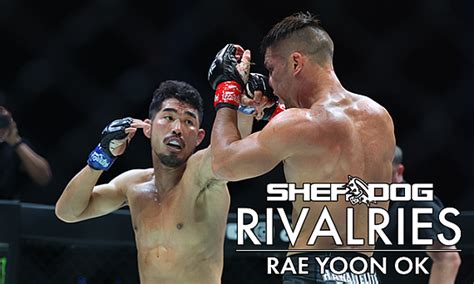 championship rivalries|Rivalries: Rae Yoon Ok .